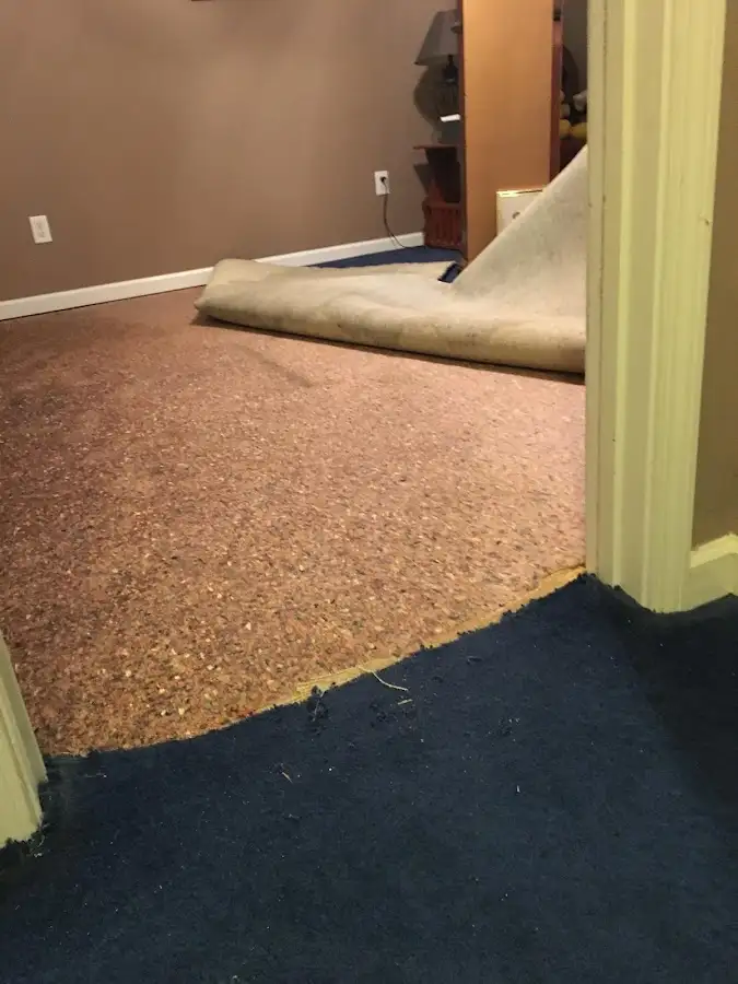 Carpet pad removal revealing water damage during Water Mitigation Services in Dripping Springs