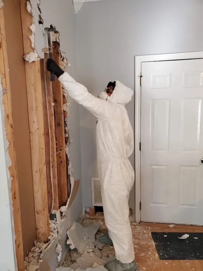 Water Damage Restoration services in Dripping Springs, TX